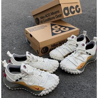 ☆CHIN代購☆Nike ACG Mountain Fly 2 GORE-TEX 越野白防水 IQ9789-062 現貨