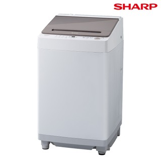 SHARP夏普 13kg無孔槽抗菌變頻洗衣機 ES-ASG13T