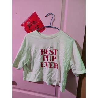 Uniqlo 短版寬鬆上衣 短T 短版 101忠犬 Disney