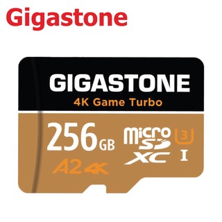 Gigastone 立達 256GB 256G microSDXC UHS-I U3 A2 4K 記憶卡【現貨】