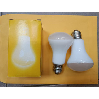 台灣製 120V40W真亮燈泡E27可調光 傳統鎢絲燈泡 飛利浦停產
