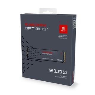 SANDISK Optimus 5100 NVMe 2TB 4TB SSD M.2 2280 台灣代理商保固