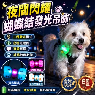 免運費🏅發光項圈 貓狗通用 寵物吊墜 寵物發光項圈 寵物夜光項圈 LED項圈 寵物夜光燈 寵物發光吊墜 LED發光吊墜