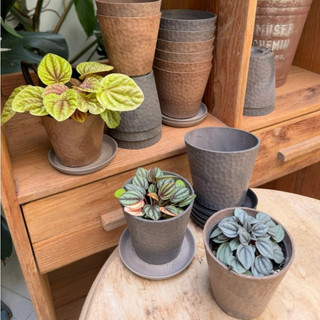 宅栽選物｜日本進口匠系列。荒巖盆 Wild-rock Pots