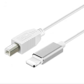二手隨便賣✅️電鋼琴 連接線 Lighting to 蘋果 USB 手機 平板 iPAD iPHONE OTG MIDI