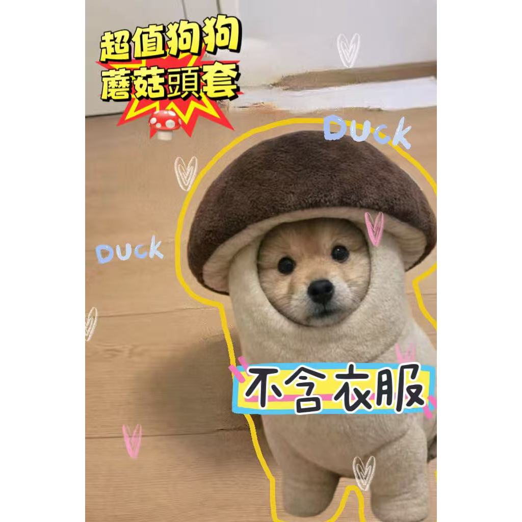 免運🔥本土發貨靈感菇狗狗帽子2026新款創意毛絨寵物帽冬季保暖帽趣味萌系帽子 只有頭套