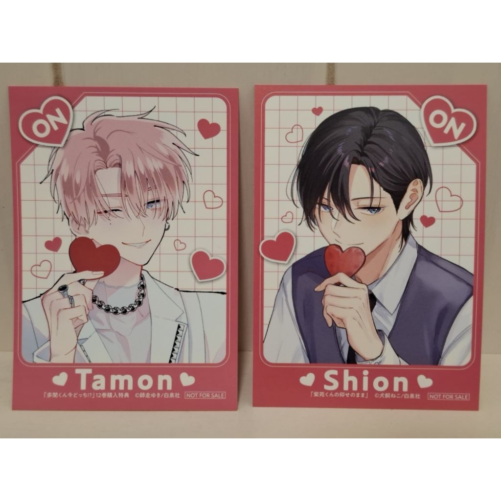 現在的是哪一個多聞 多聞 紫苑 雙面特典 多聞くん今どっち！？