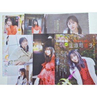 雜誌切頁 週刊少年Champion 週刊少年チャンピオン 日向坂46 正源司陽子