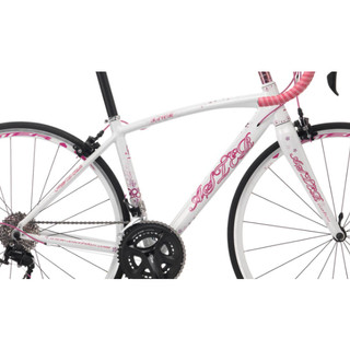 『新鐵馬車行』亞仕大ASTER FAVER公路車鋁合金車架組 含頭碗、碳纖維前叉（白粉47）