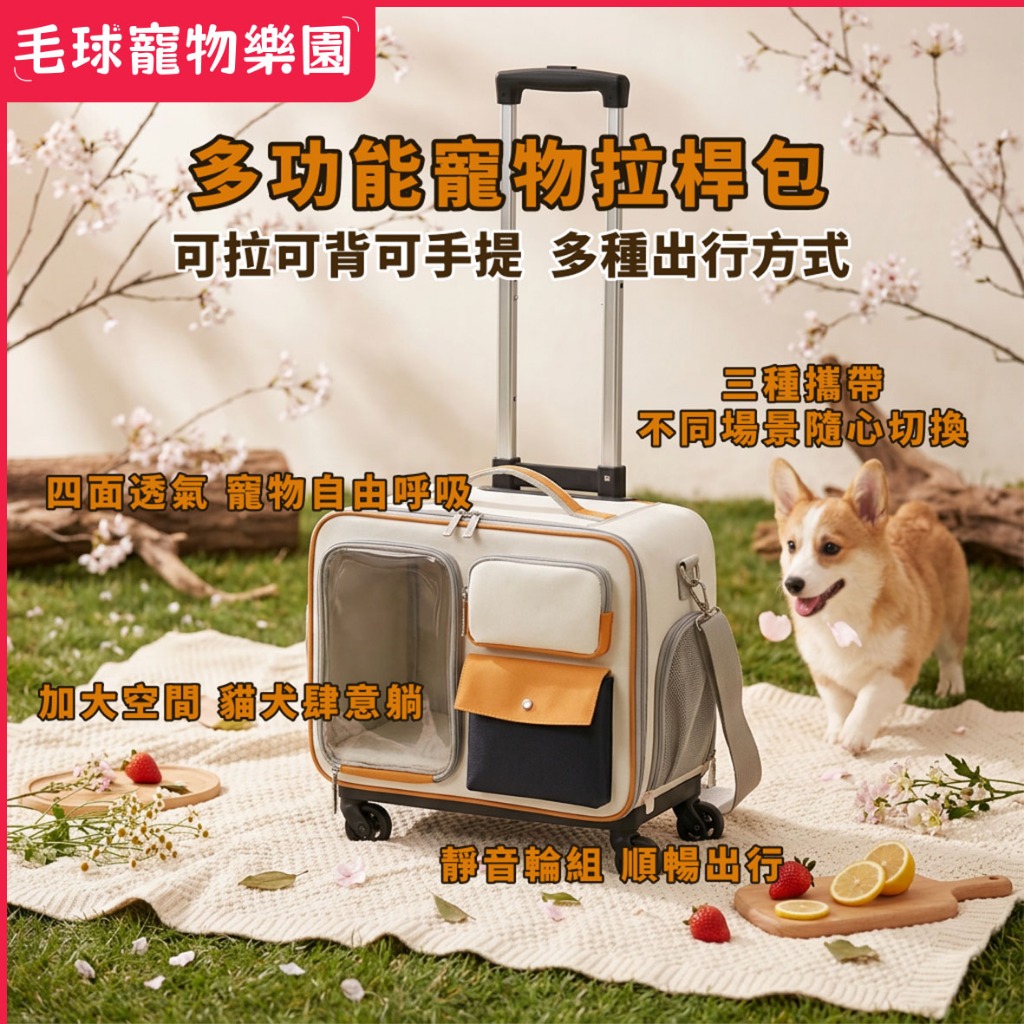 【隔日達拉桿包一包四用】寵物外出拉桿包 可放機車踏板寵物推车 貓咪外出用的包 貓咪推車 貓咪外出拉桿包 外出包 貓外出包