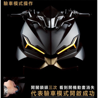 APEXX 龍息日行燈 DRG 2代 龍2 日行燈 SYM APEXX DRG 二代 龍息 日行燈 方向燈 DRG 龍息