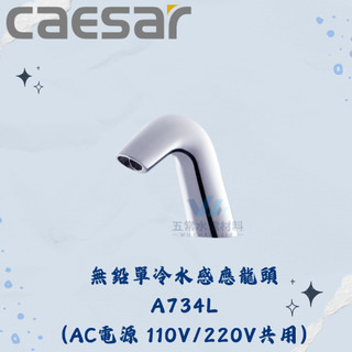 凱撒 CAESAR A734L A734LDC 無鉛單冷水感應龍頭 全配 感應龍頭 無排水部 凱撒龍頭 龍頭 凱撒單冷水