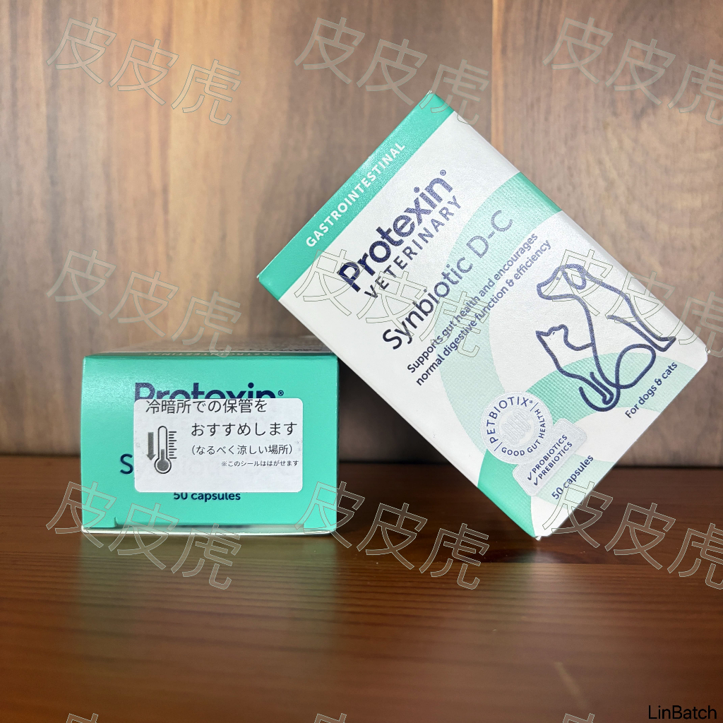 現貨 日本版/英國版 Synbiotic D-C 犬貓用益生菌 日本腸寶