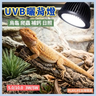 曬背燈 LED曬背燈 太陽110V UVA+UVB 補鈣燈 適用 爬蟲 兩棲 陸龜 烏龜 守宮 蜥蜴 多肉植物 曬背燈