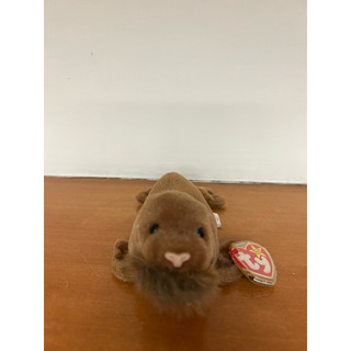 Ty Beanie Babies 系列 Paul the Walrus（保羅海象）1999年 二手 標籤完整