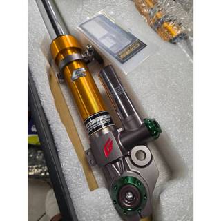 GJMS TCD-2000+ 前叉 氣瓶後置 STR 300 250 AEON 宏佳騰 前避震器 改裝 AEON STR