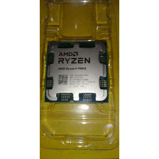 AMD R9 7900X 12核心 CPU AM5 非 9900X 7800X3D 7950X 5950X 5900X