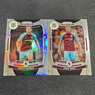 2021-22 Panini Prizm Premier Burnely -2