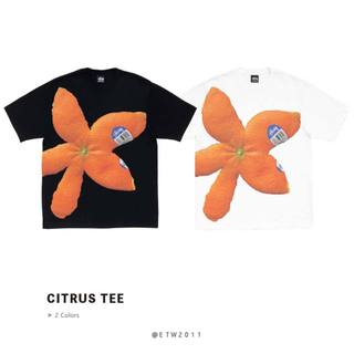 ☆ETW☆【台中店】Stussy 26SS CITRUS TEE 橘子皮 柑橘 花 短T 短袖 短TEE