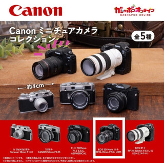 現貨✨Canon相機模型 EOS 5D Mark Ⅱ+EF24-70mm F2.8L USM 確認款 BANDAI 扭蛋