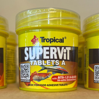 「洵流水族」德比克黏貼飼料/Tropical tablets A