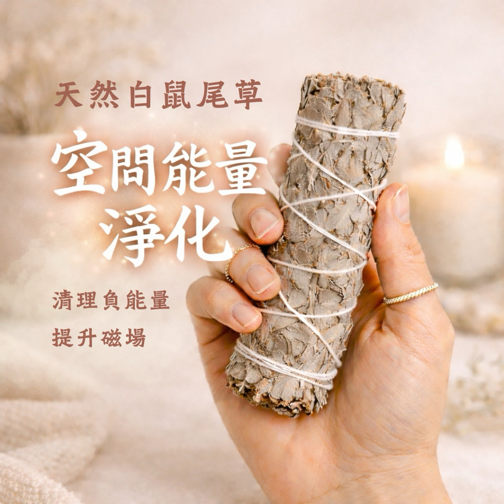 【 Jenny身心靈療癒所】白 鼠 尾草／藍鼠尾草 天然鼠尾草 淨化薰香 淨化空間 煙燻香草 冥想瑜珈 居家薰香 淨化草