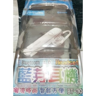 威狐 4.0 耳機 / 運動耳機 / 掛耳 / 潮流時尚 / 完美音質