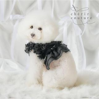【PET PARADISE】斜紋軟呢珍珠寵物外出胸背/黑 (SS)｜cherircouture 2026春裝新款 高級