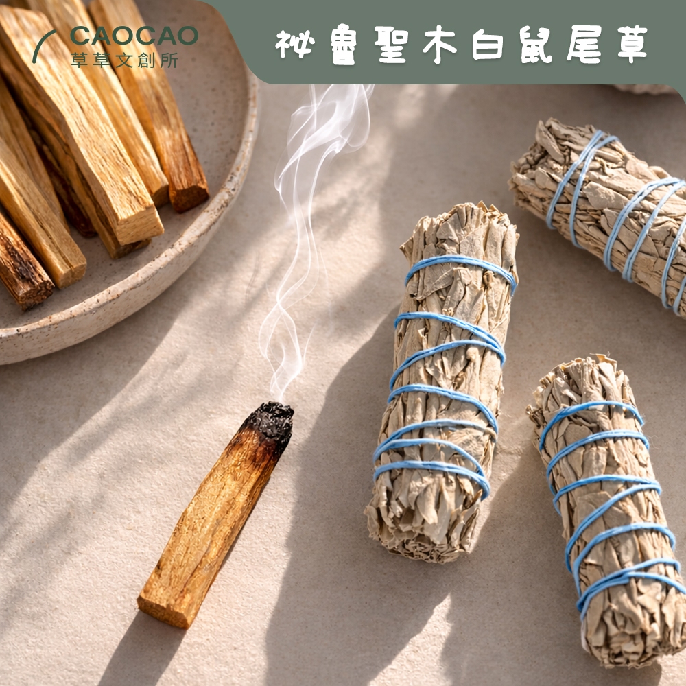 【聖木 鼠尾草】白 鼠 尾草 祕魯聖木 淨化 能量 空間淨宅 消磁 淨化磁場 儀式 薰香 藍鼠尾草 淨化空間 聖木 避邪