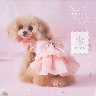 【PET PARADISE】寵物涼感絲帶洋裝/粉 (DS)｜cherircouture 2026全新夏裝系列 高級涼感