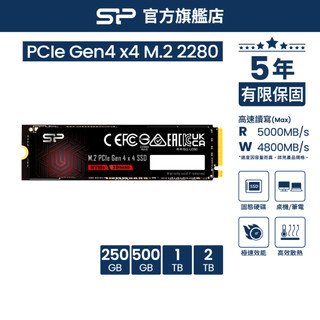 SP SSD M.2 PCIe NVMe Gen4x4 UD90 250GB 500GB 1T 2T 固態硬碟 廣穎