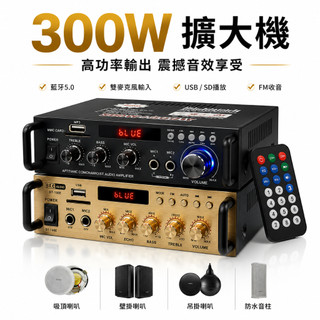 【R.H獵戰】家用擴大機 功率擴大機 卡拉OK音響 2.0聲道 擴大器 擴大機 功放機