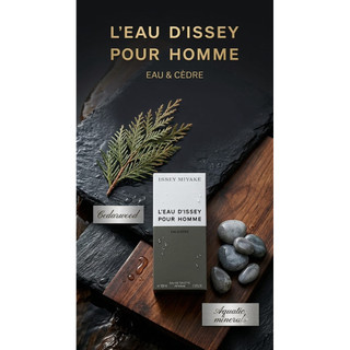 三宅一生 Issey Miyake L’EUA D’ISSEY Pour Homme 100ml