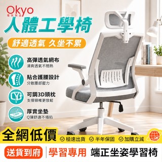 Okyo👌全台最低價🔥免運 全網乳膠坐墊辦公椅 電腦椅 人體工學椅 會議椅 員工椅 旋轉椅 升降椅 書桌椅 電競椅 椅子