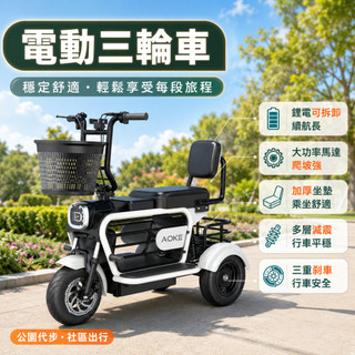 台灣保固🔥電動三輪車 長輩代步車 多載電動三輪車 載寵物電動車 電池可拆充 接送孩子 老人代步 買菜購物 輕便電動車