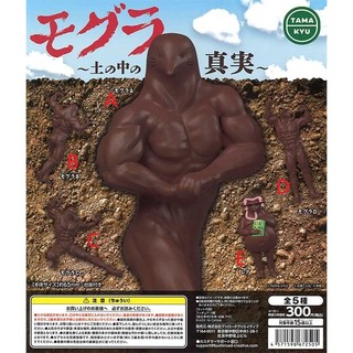 BUSHIROAD TAMA-KYU 鼴鼠-土中的真實- 扭蛋 轉蛋