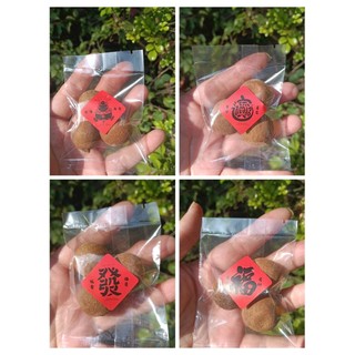 三粒龍眼乾 供品拜拜 拜天公