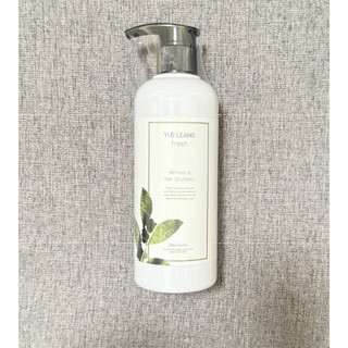 現貨 YUE LEANG 羽亮 茶樹洗髮精 500ml 控油洗髮精 涼感洗髮精