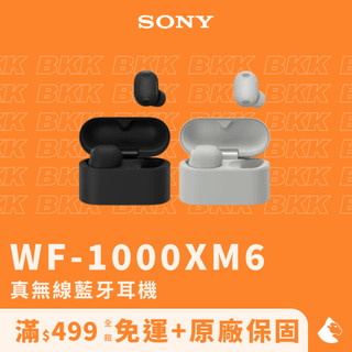 【Sony】WF-1000XM6 真無線藍牙耳機（公司貨/原廠保固/抗噪耳機/降噪耳機/藍芽耳機）