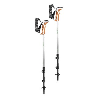 [阿爾卑斯戶外] LEKI Jannu 膠握把鋁合金快扣 登山杖 90-125cm 65222361
