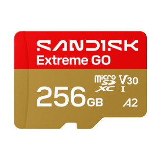 《 sandisk 原廠 正版 非水貨 可用 》Extreme GO microSD UHS-I 高速 記憶卡