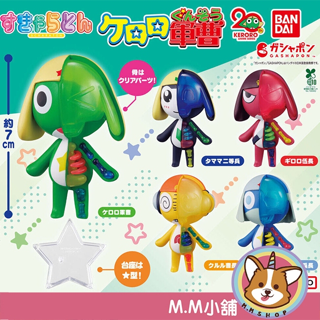 【M.M小舖】『現貨』 BANDAI 轉蛋 扭蛋 Keroro軍曹透視公仔 公仔 Tamama 半剖 軍曹 全5款