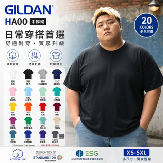 【台灣出貨】 大尺碼 GILDAN HA00系列 短袖t恤 潮牌 素T 精梳棉加厚扎實 大尺碼 短袖 胖胖上衣