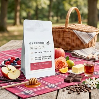COFFEE RICH-IN 富咖啡 莓果蜜香奏鳴曲咖啡豆 葡萄乾蜜處理 中淺焙 100g《拾光玻璃》