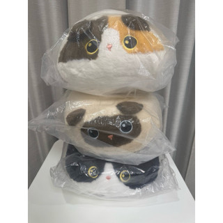 【正版授權】Duoai多愛 坐墊貓系列40cm 貓咪坐墊 抱枕 玩偶 三花貓/暹羅貓/奶牛貓 療癒娃娃 交換禮物