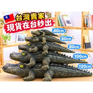 【現貨在台灣秒出】鱷魚抱枕 鱷魚娃娃 模擬鱷魚 鱷魚玩偶 鱷魚 抱枕 娃娃 玩偶 擬真抱枕 模擬抱枕 交換禮物 模擬娃娃