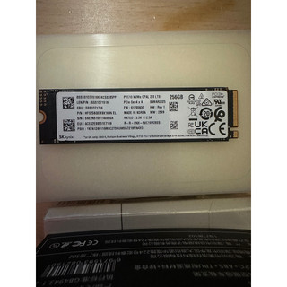 【拆機】海力士 SK Hynix PVC10 256GB SSD PCIe4.0 x4 NVMe 2.0 TLC顆粒