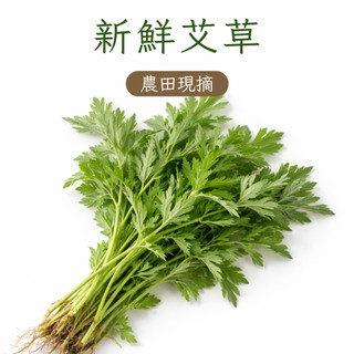［​苗栗］🪴現採新鮮艾草🪴 自然農法 淨身除穢 端午草本 當天現採 當天寄送 做粿 驅蚊 足浴包 手工皂 除