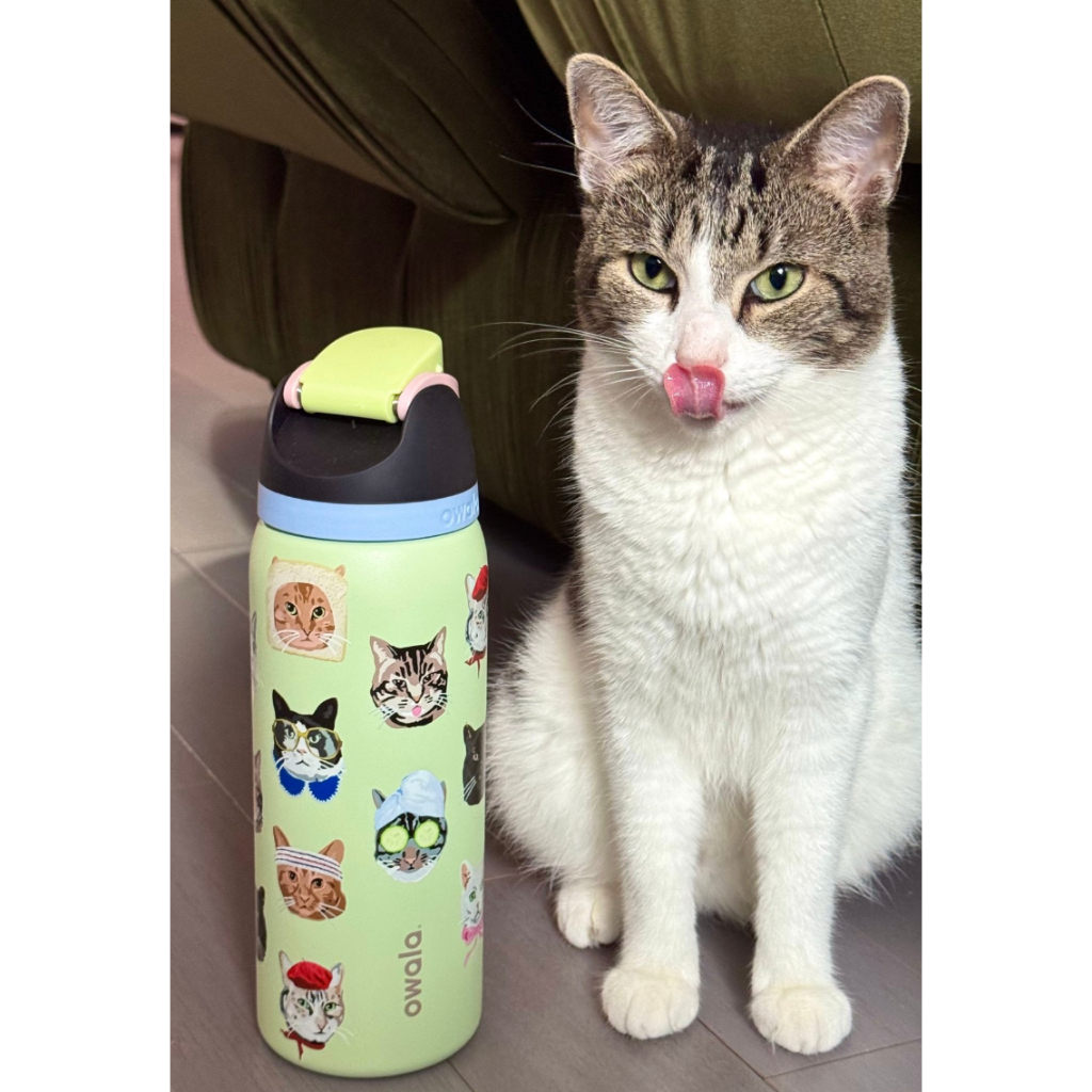 現貨 owala x UO cat collage freesip 貓咪🐱保溫瓶 保溫水壺 945ml