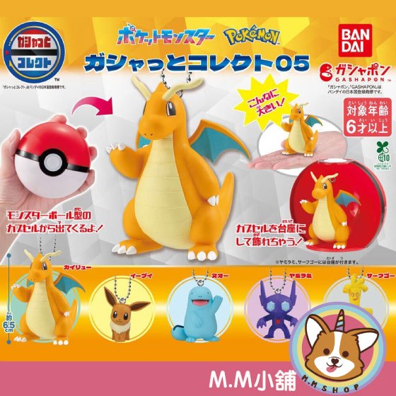 【M.M小舖】『現貨』 BANDAI 轉蛋 扭蛋 (大球) 寶可夢扭蛋公仔P5 5 快龍 沼王 伊布 精靈球 全5款